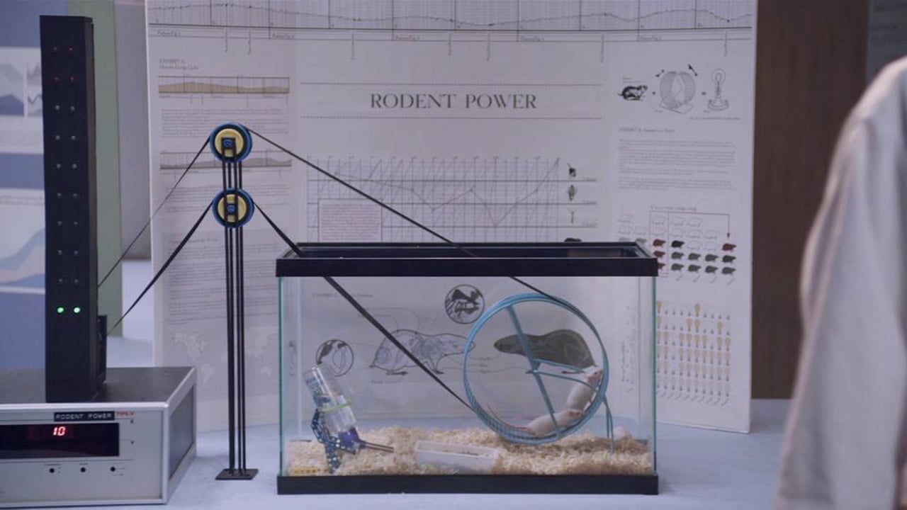 Google "Science Fair"