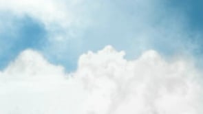 Animaci&oacute;n Colombia