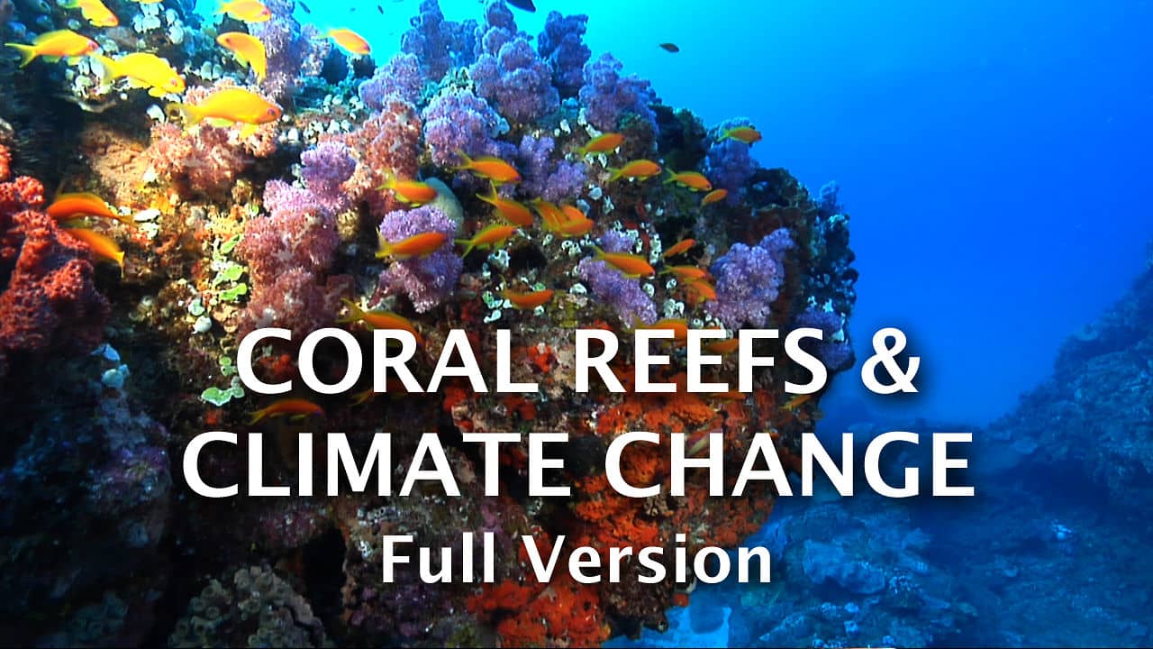 Coral reefs & climate change (full version) on Vimeo