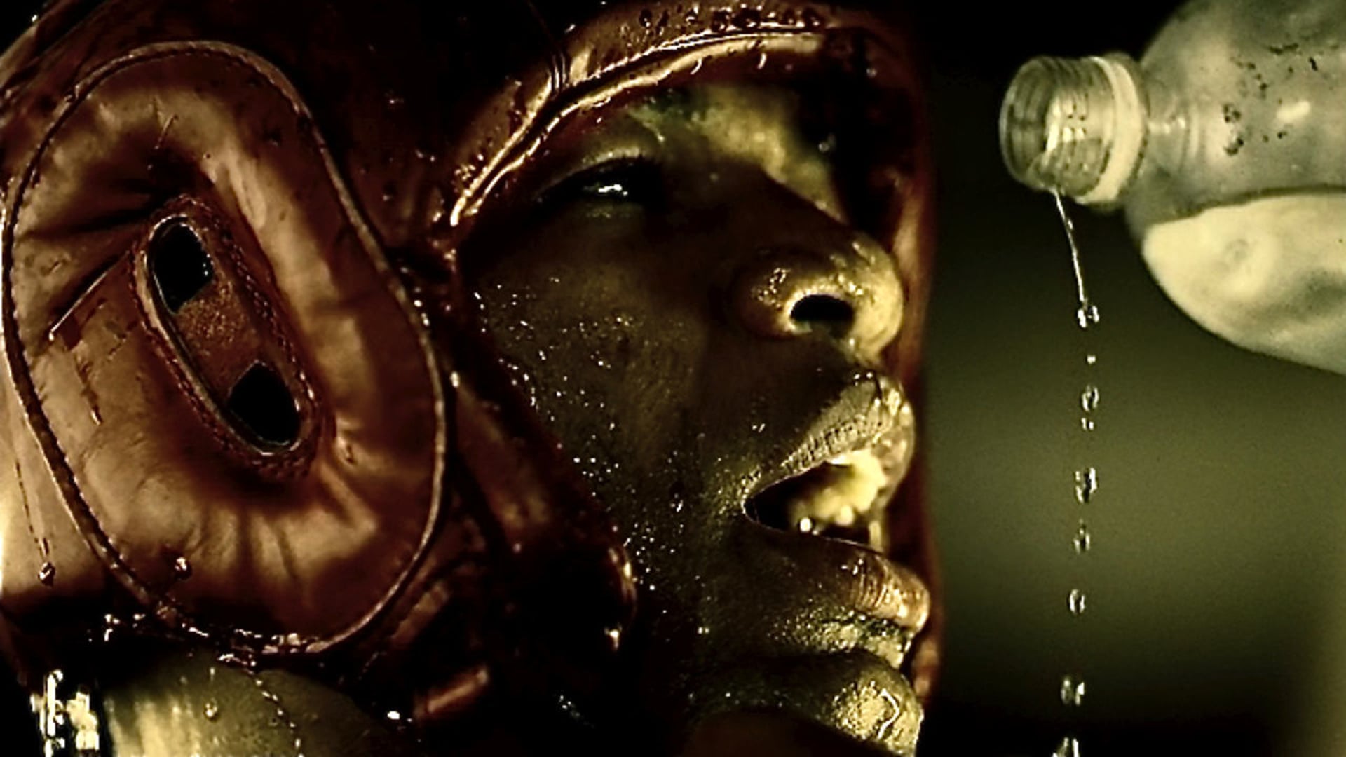 Maksim 'Bumblebee' / music video