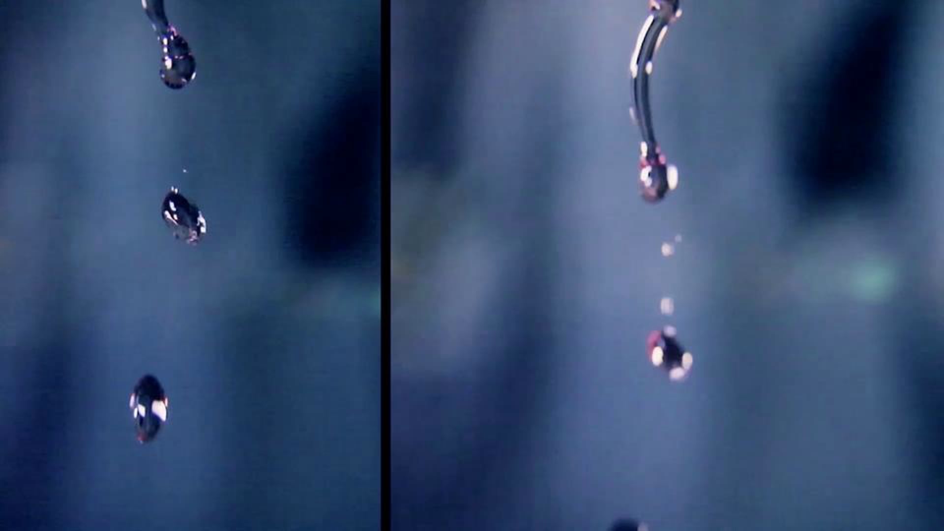 ECOLUM VIDEO 2012 Teaser