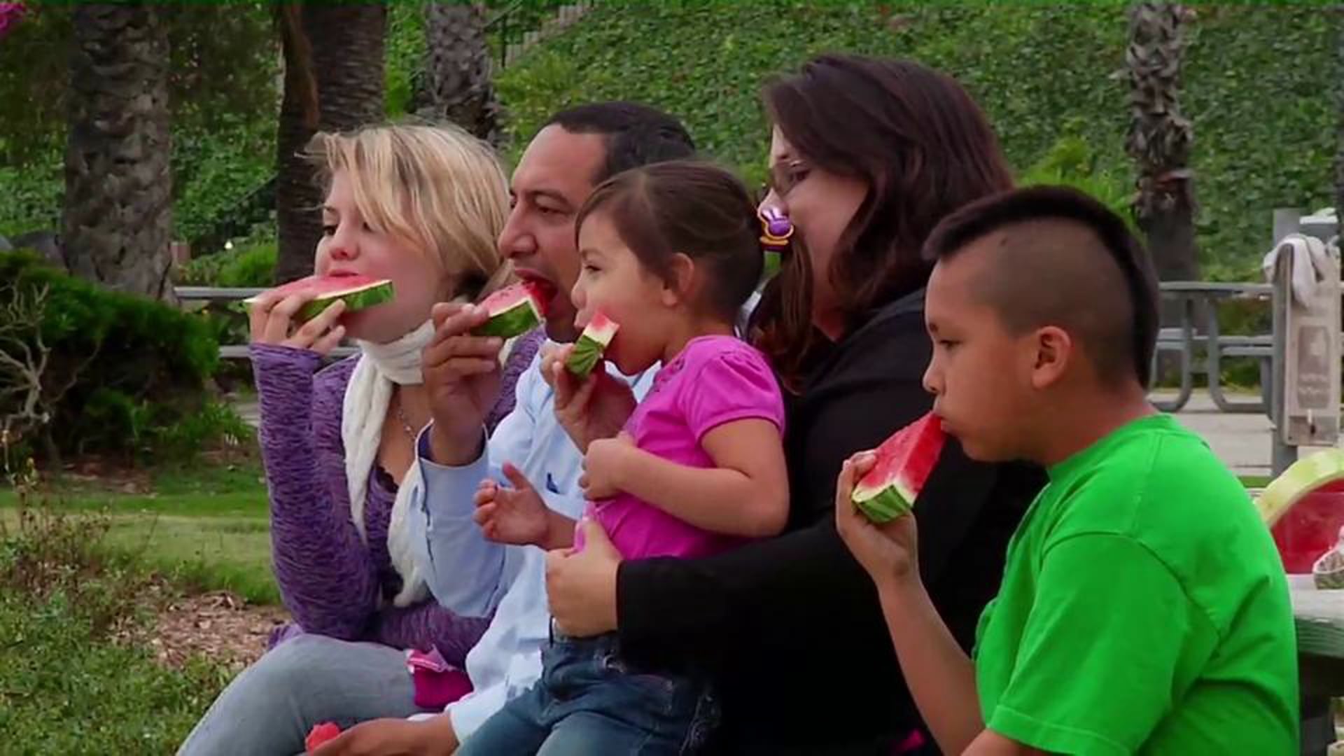 Sesame Street: Food For Thought - Live action film