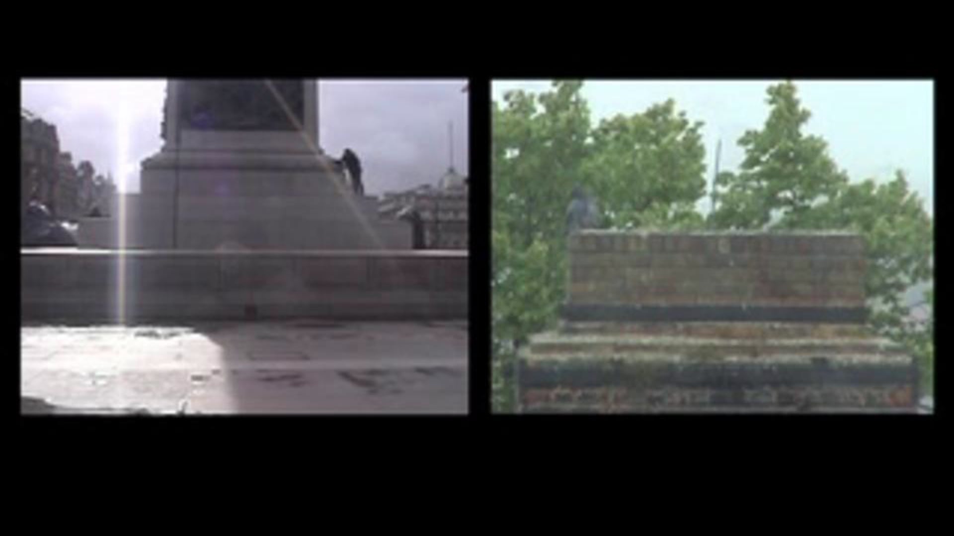 Believe The Pigeon And All The Rest Will Follow (C.Darwin) (2009)