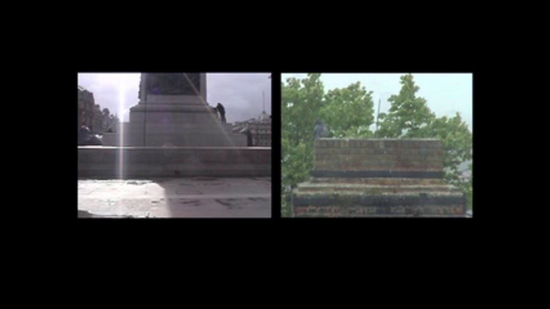 Believe The Pigeon And All The Rest Will Follow (C.Darwin) (2009)