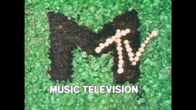 MTV Mollusk