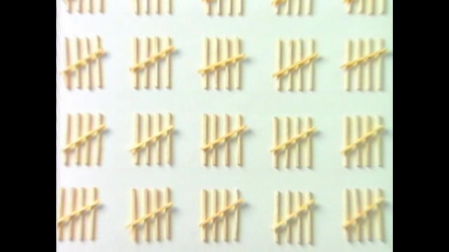 US Census Matchsticks