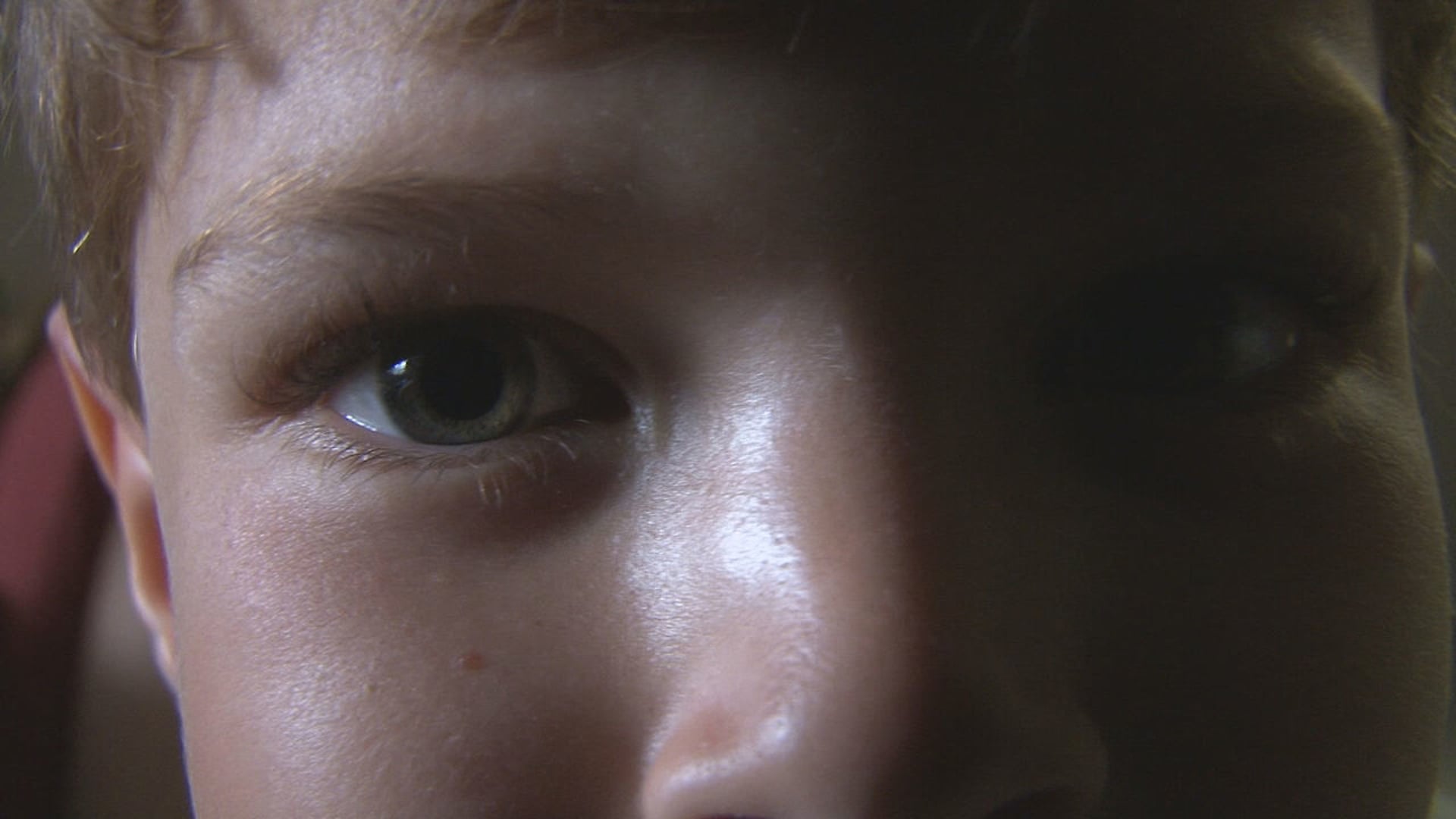 The Observer and the Observed (Trailer)