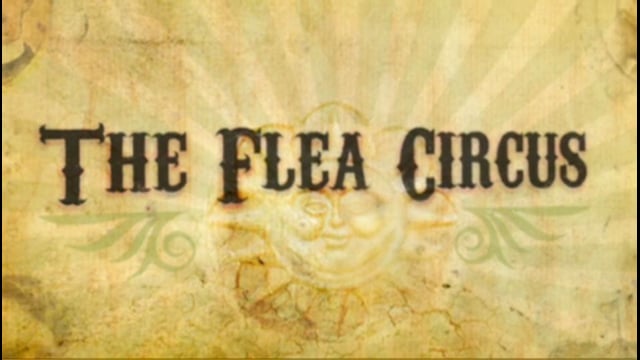 HP Flea Circus