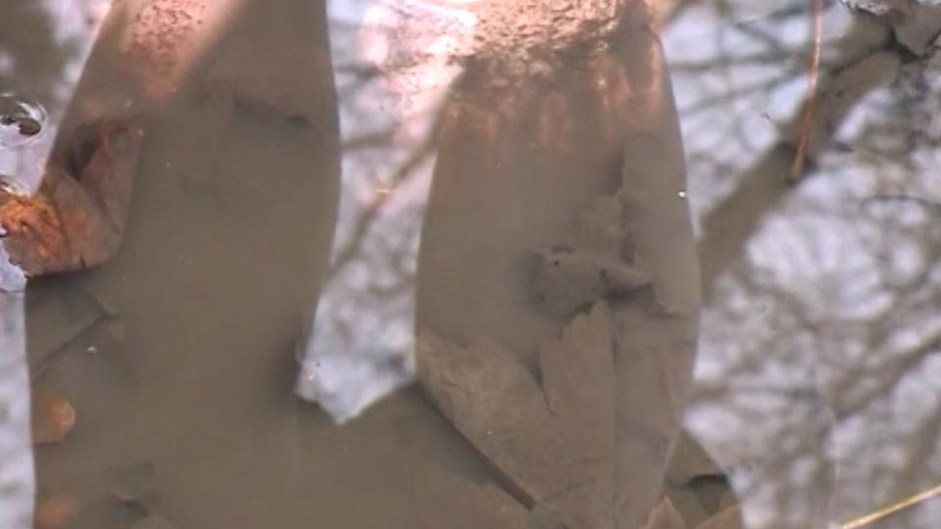 Earthed (2009)