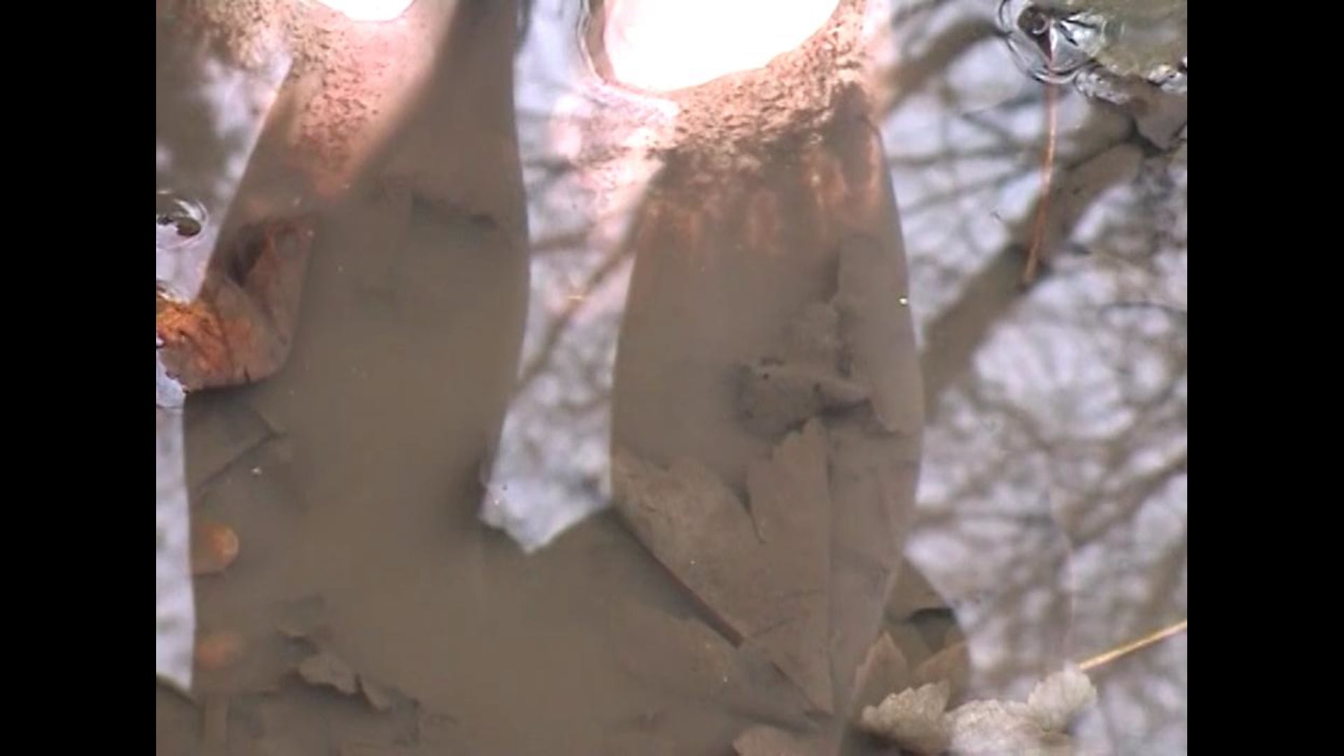 Earthed (2009)