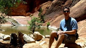 Outsourcing and Internet Marketing