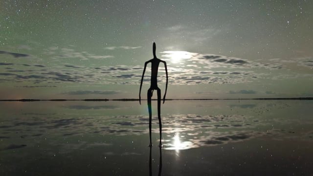 Nocturnal: Scenes from the Southern Night