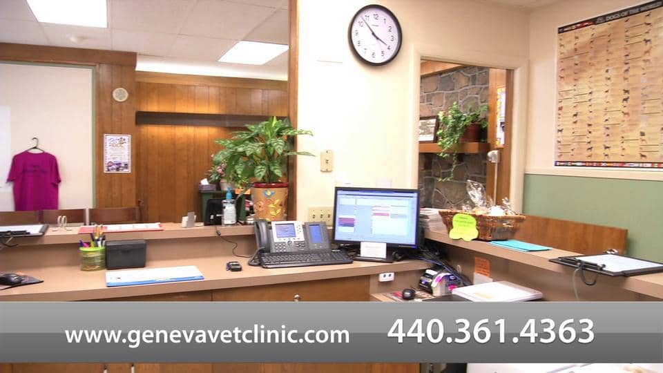 Geneva Clinic on Vimeo