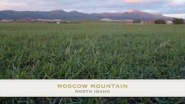 Ride My Domain Episode 2