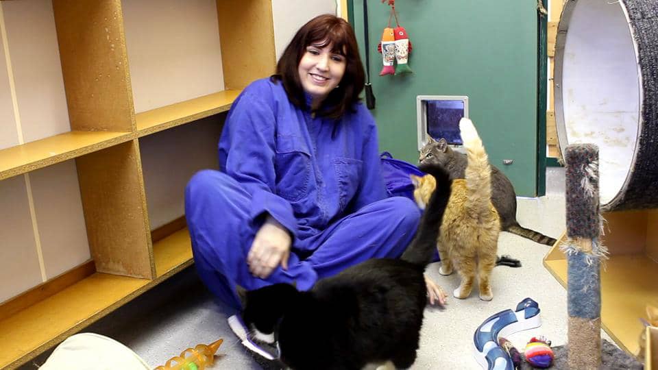 Feed Trial Kitties on Vimeo