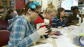 Walk in the Wetlands - Water Testing