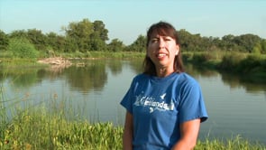 Walk in the Wetlands - Fish Samples