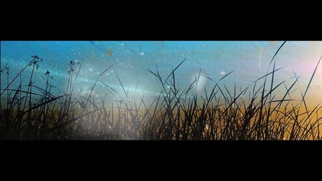 Phonique - Amy's Heart thumbnail