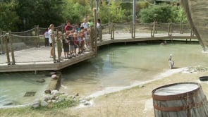 Teen Volunteers at the City of Waco