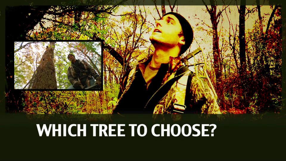 Preparing to Hunt from a Tree Stand video