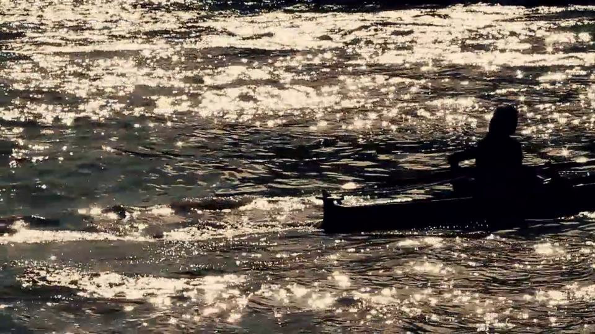 Invitación al edén por SATORILAB