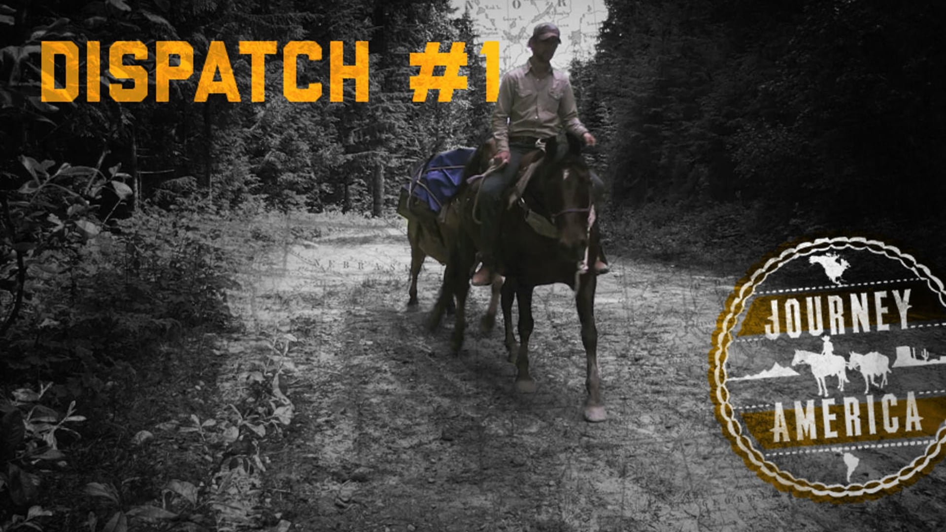 Dispatch #1 - Horse-shoeing