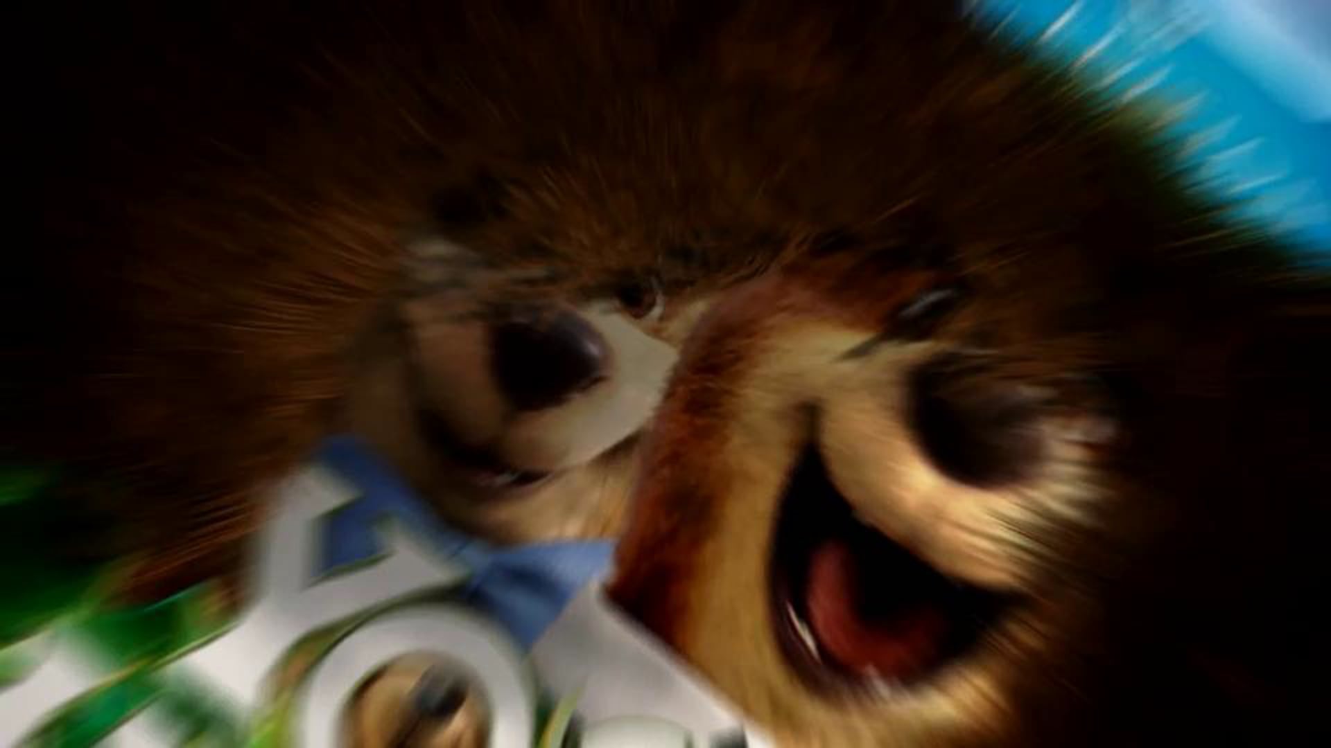 Yogi The Bear