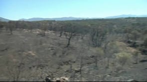 Felip Puig admet que el foc va desbocar les capacitats dels bombers