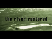The River Restored
