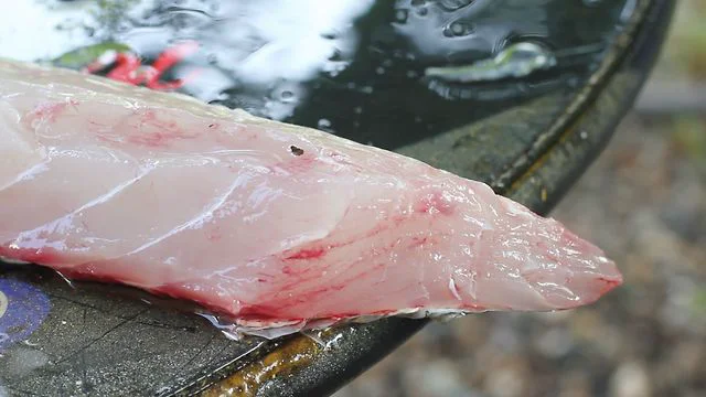 The Graceful Fillet of a Striper on Vimeo