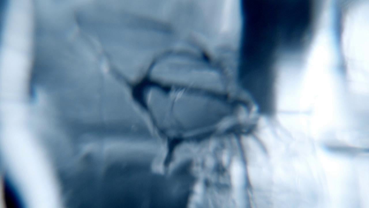 Asiada / II