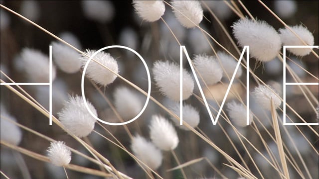 HOME from Jacob Wooden