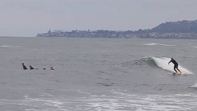 Pelican Prowl from Torrey Meister