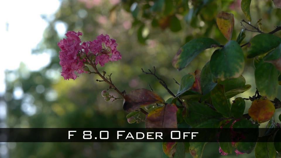 Texas media systems tests the 75mm f1 8 olympus v311040su000 on vimeo