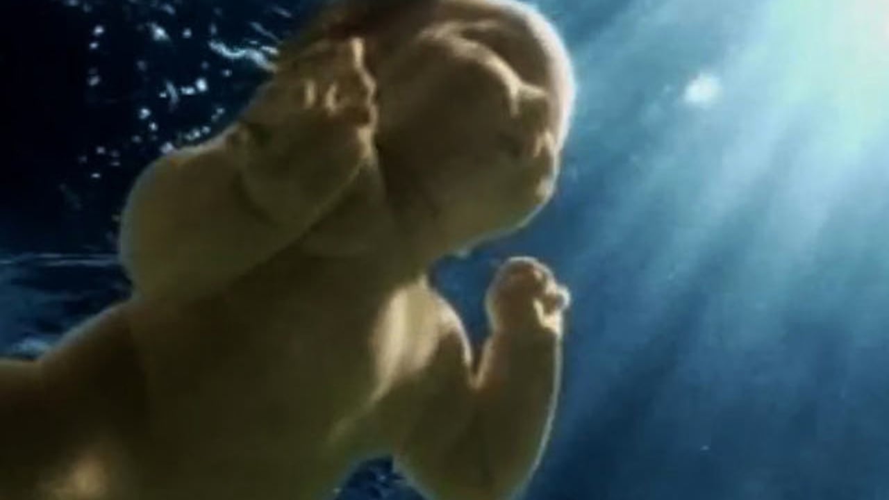 omnitel-baby