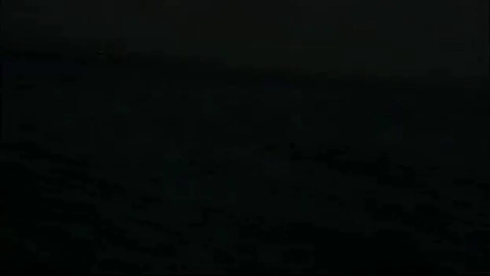 National Geographic: The Whale That Ate Jaws