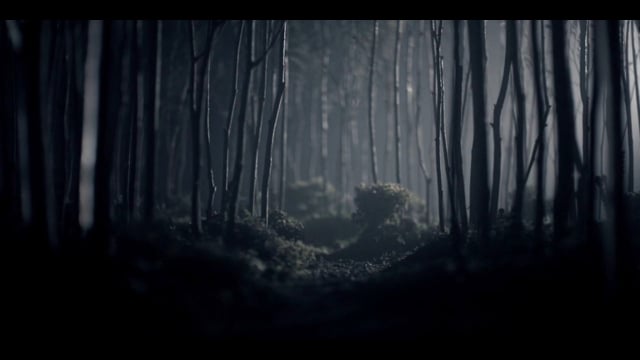 MYPET - Pays to Know thumbnail