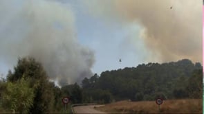 Incendi forestal a Vilopriu