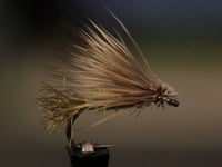 Olive X Caddis - From Tightline Productions