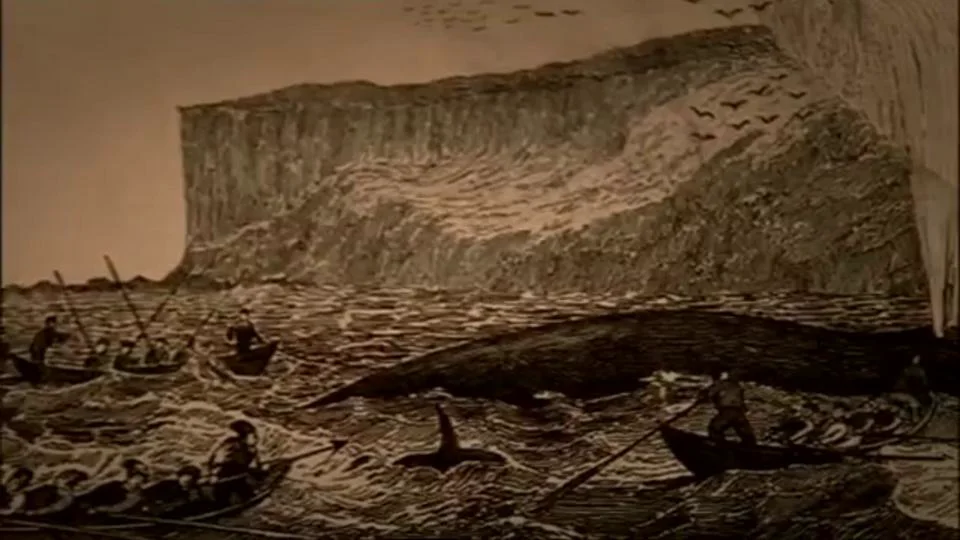 Killers in Eden on Vimeo - All Whales