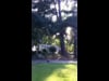 jumping a fat man