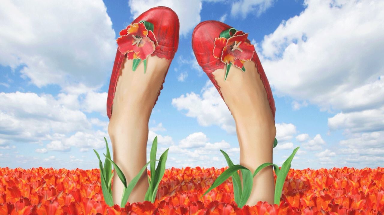 Shoe Fleur for Po-Zu on Vimeo