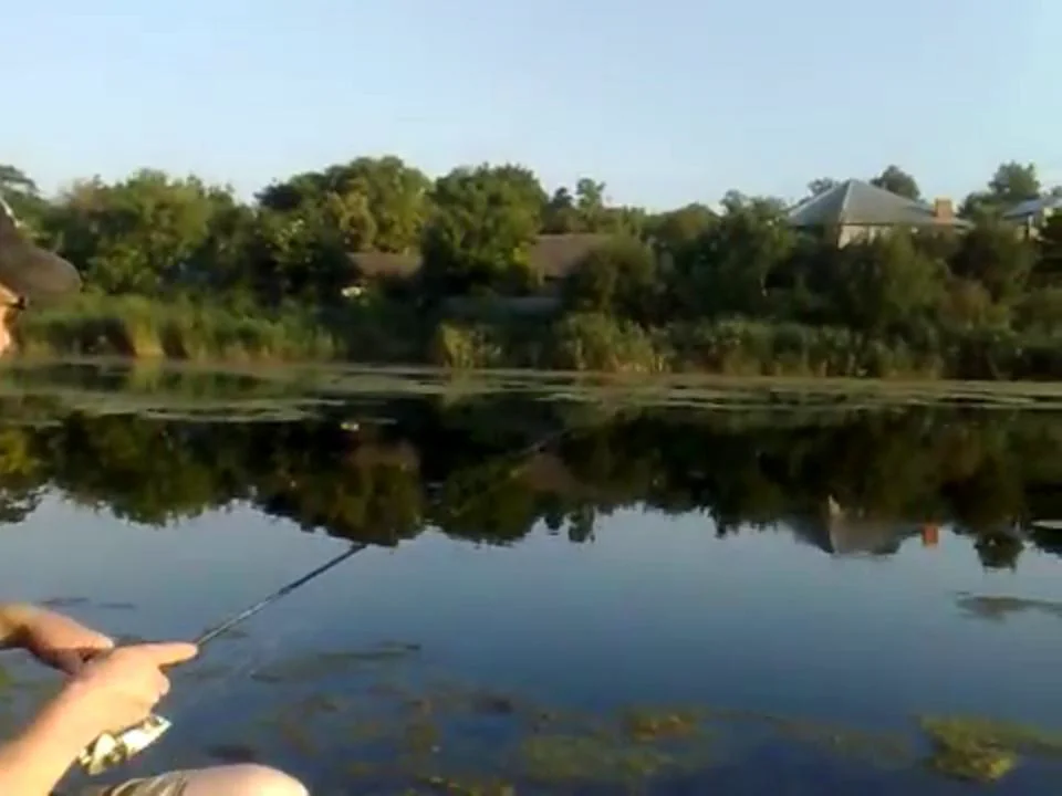 Алвис алоне рыбалка новое. Река держа рыбалка.