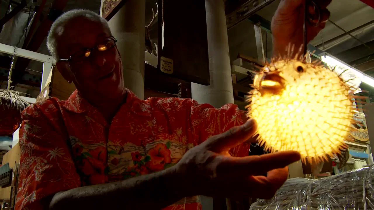 The Making of a Pufferfish Lamp