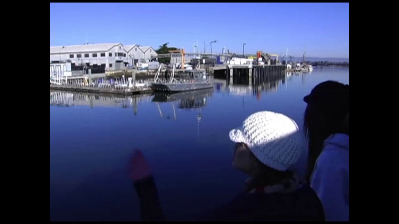 The Big Kahuna Adventure