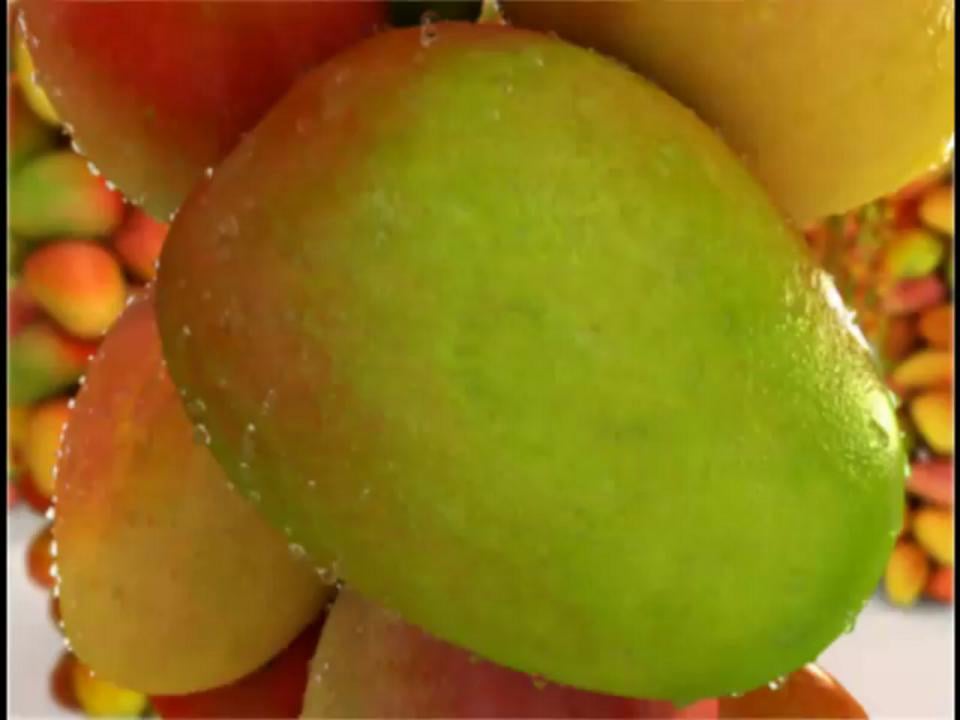 Hit Mango on Vimeo