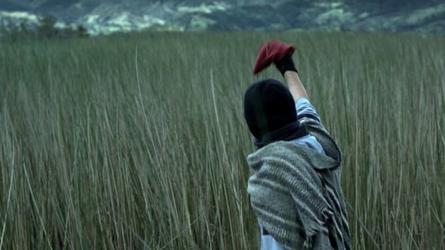Trailer Oficial