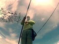 FLY FISHING FOR REDFISH SNOOK AND TARPON
