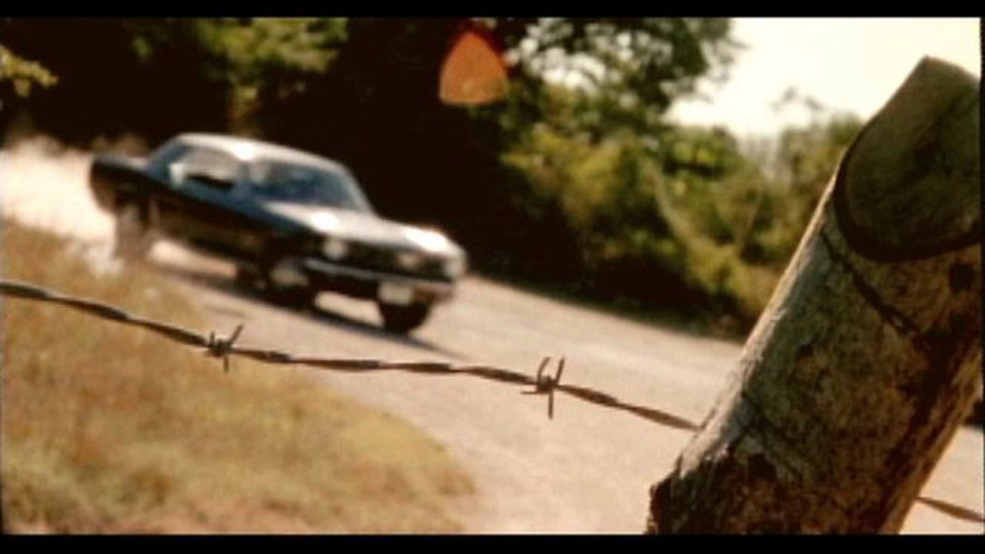 Mustang 40th Anniversary