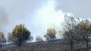 Incendi a l'entrada de l'Escala